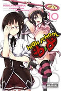 High School DXD, Vol. 10 cover