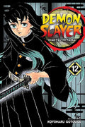 Demon Slayer: Kimetsu No Yaiba, Volume 12 cover