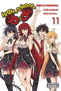 High School DXD, Vol. 11 cover